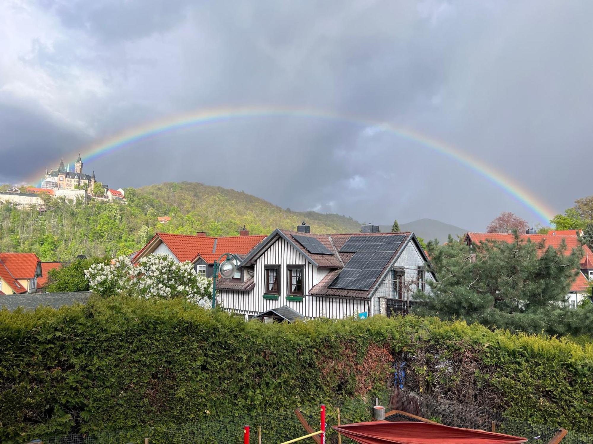 Ferienwohnung Kniep Wernigerode Esterno foto